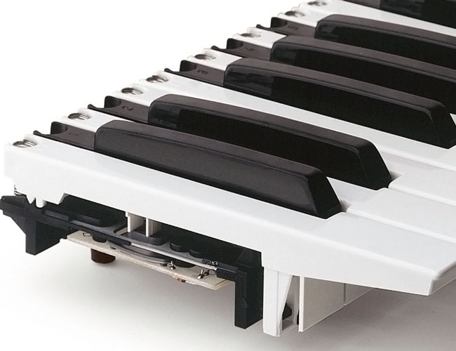 FATAR Kurzweil Doepfer Klavier Key black schwarze Taste Spare Part 